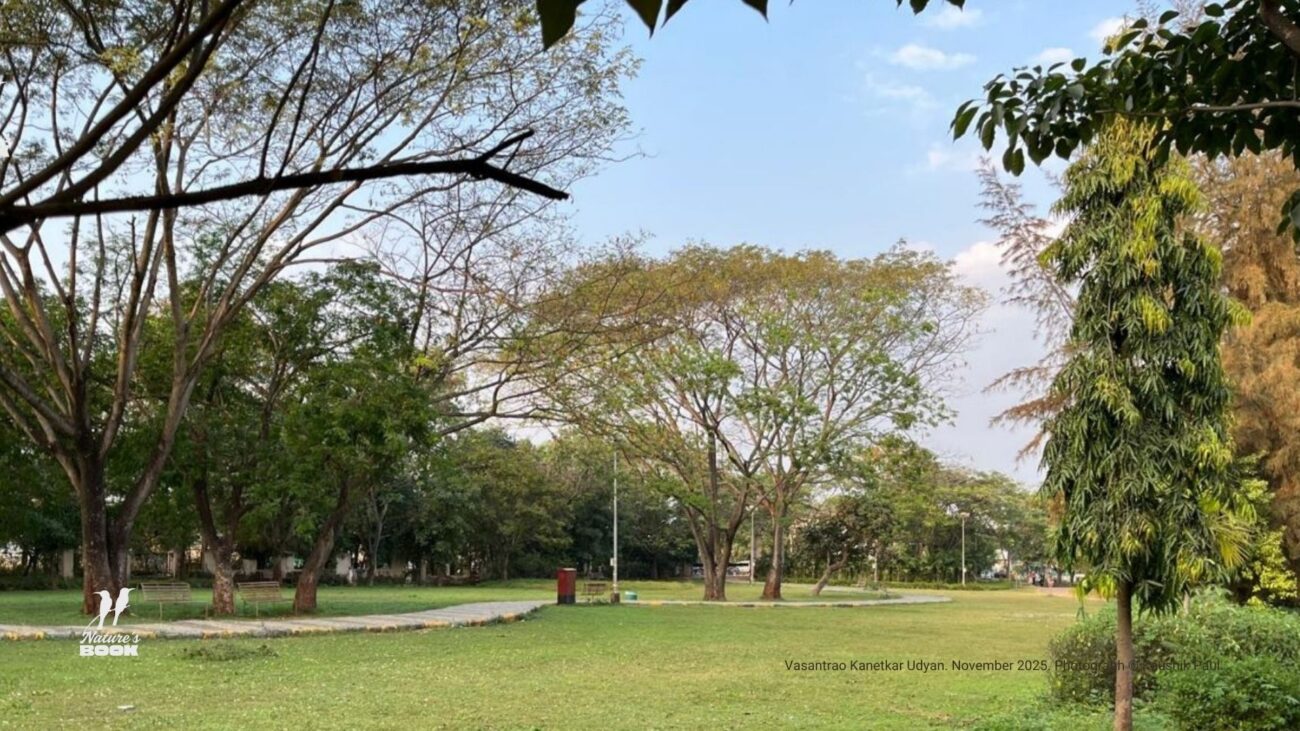 Inside Vasantrao Kantekar Udyan