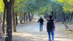 Inside Sultanpur N.P. Inside Sultanpur N.P.